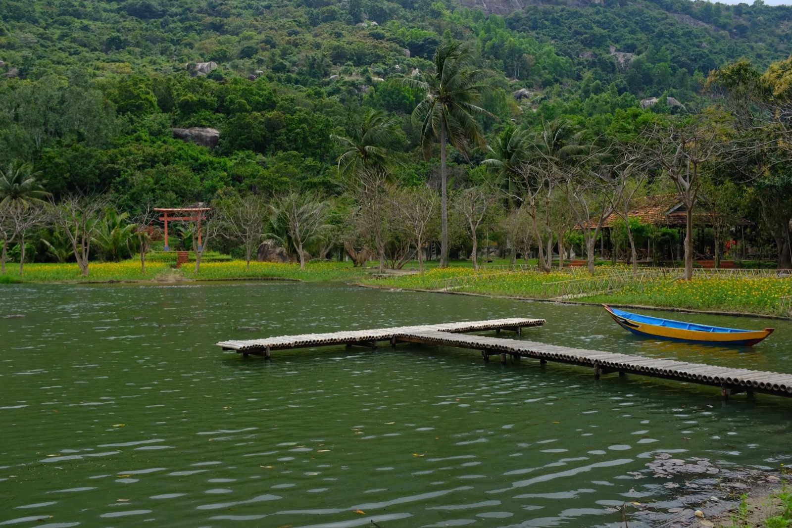 Hồ nước và cầu gỗ
