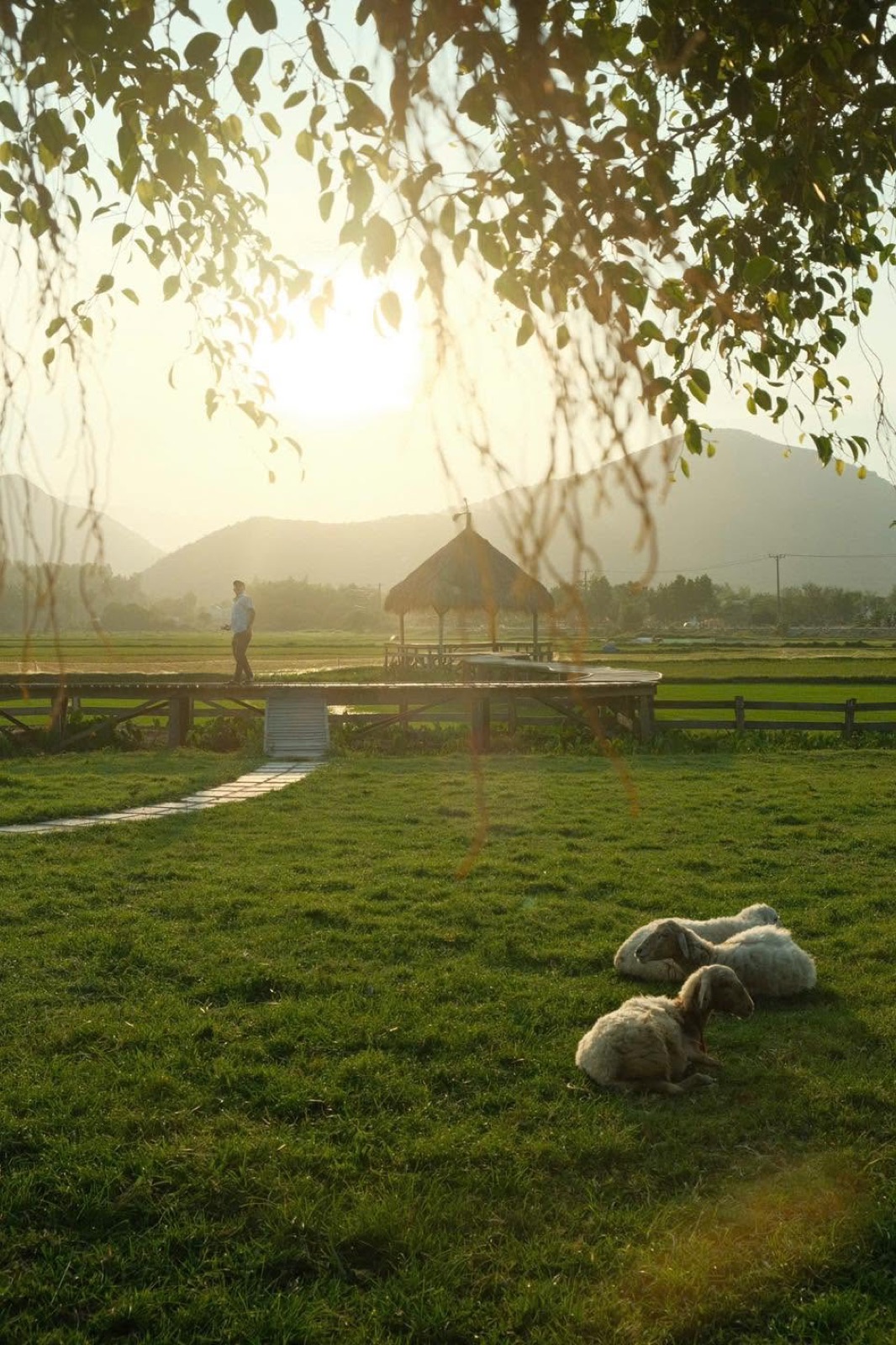 Chòi lá trong nắng chiều